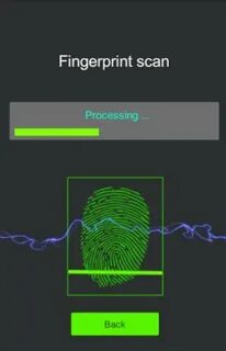 Device build fingerprint