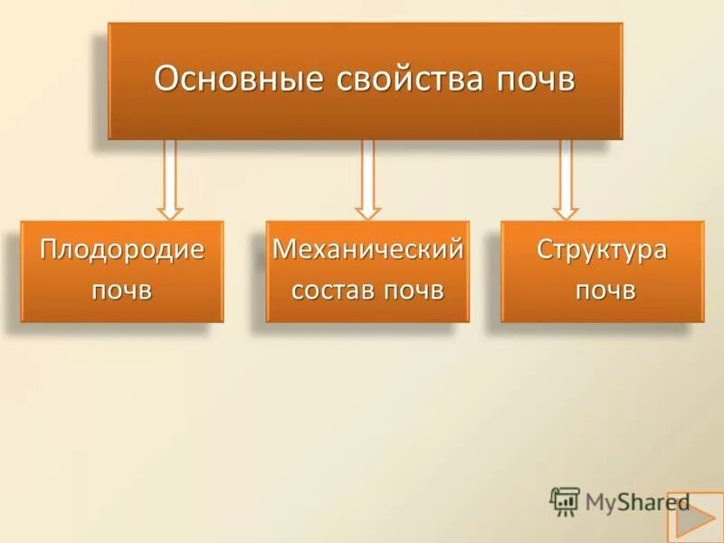 свойства почвы. главное свойство почвы. основное свойство почвы плодородие. основное свойство почвы 3 класс. основные свойства почвы.