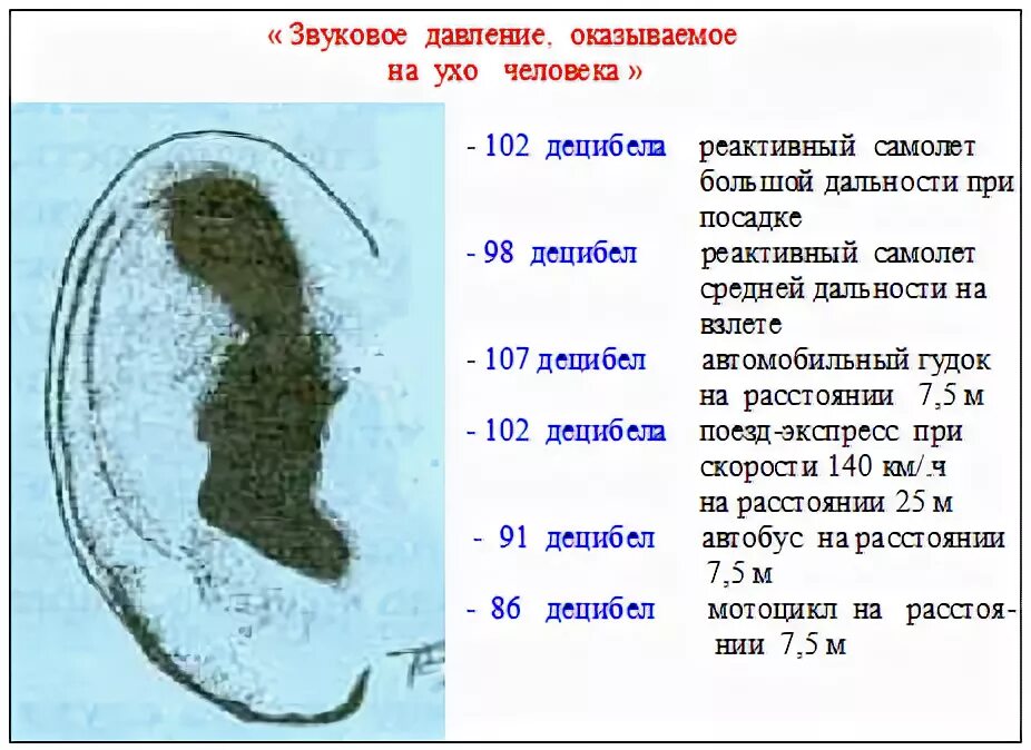 Ухо децибел. Децибелы для человеческого уха. Сколько децибел выдерживает человеческое ухо. Сколько децибел может выдержать ухо. Сколько выдерживает ухо децибел.