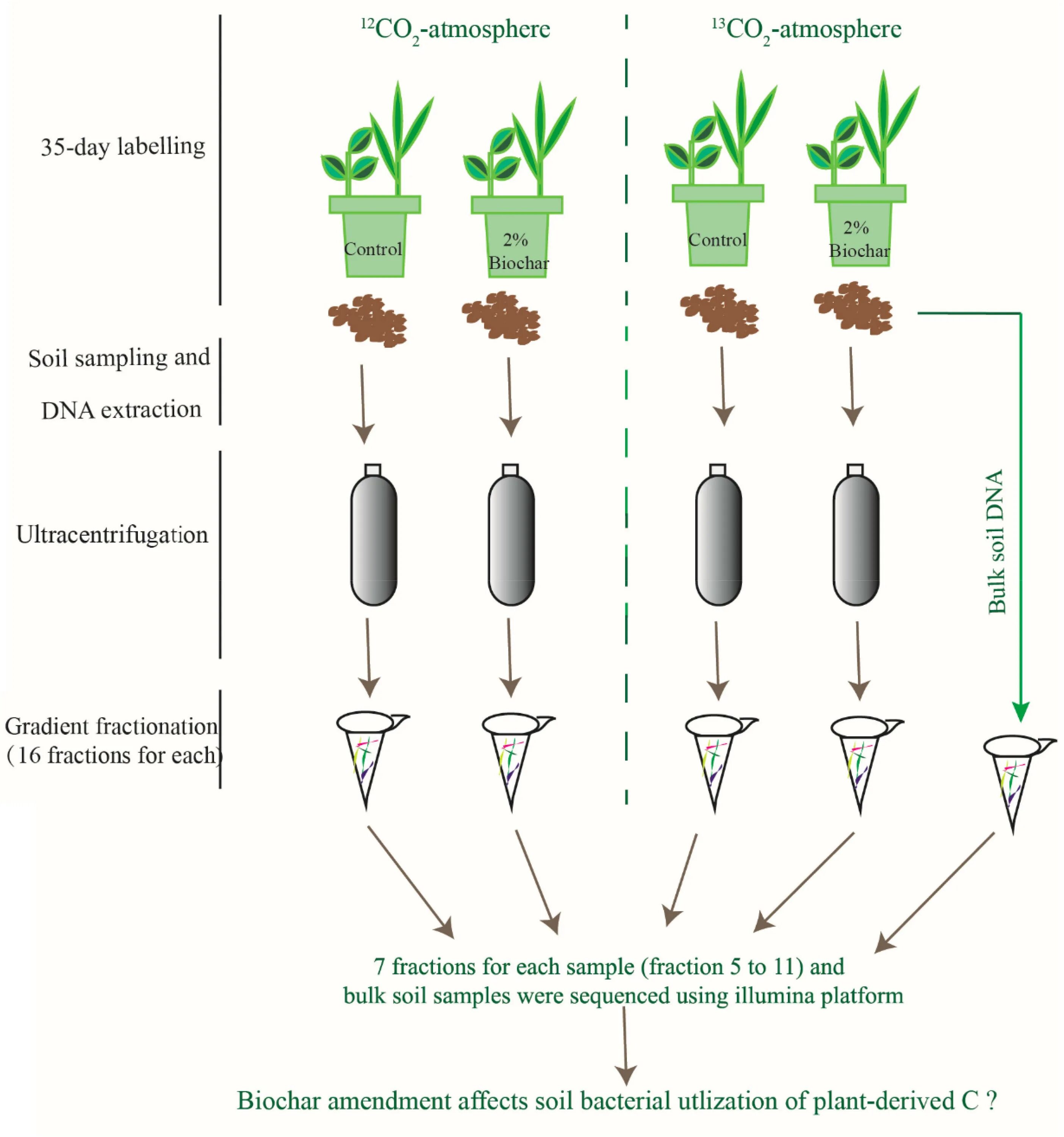 Производства Biochar. Биочар производство pdf. Биочар классификация. Biochar формула.