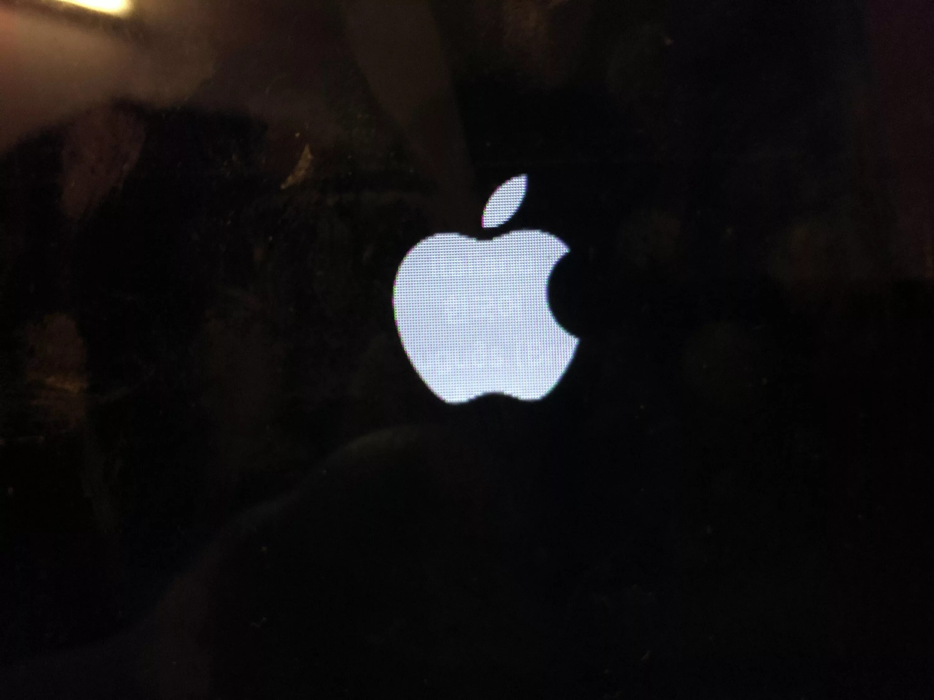 Включается iphone яблоко. Яблочко при включении айфона. Надкусанное яблоко логотип. Заставка при включении айфона 11.