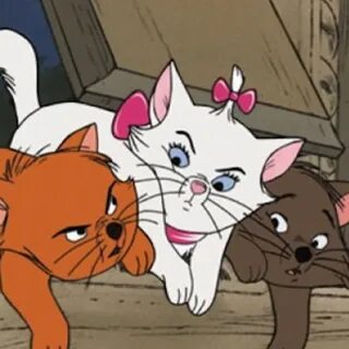 Кошка и ее друзья