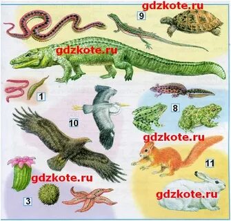 На этих рисунках папа сережи и нади