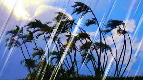 Wind and rain