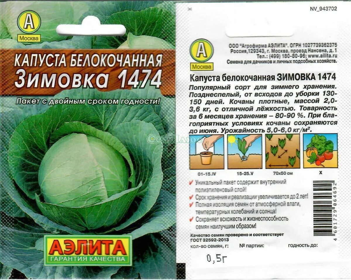 Купчиха сорт капусты отзывы. Капуста белокочанная зимовка 1474. капуста зимовка 1474 описание сорта. сорт зимовка капуста.