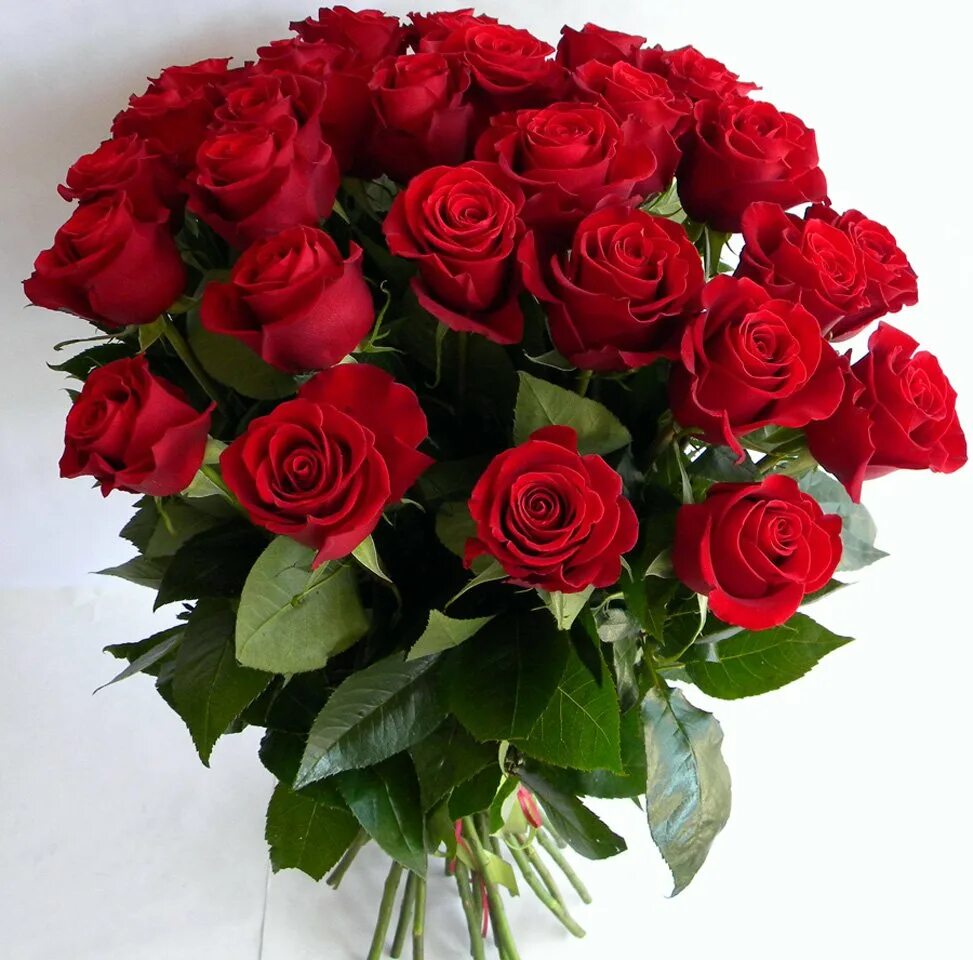 Букет цветов красивых роз фото красивые. Красивый букет роз. Шикарный букет роз. Красивый букет красных роз. Букет "день рождения".