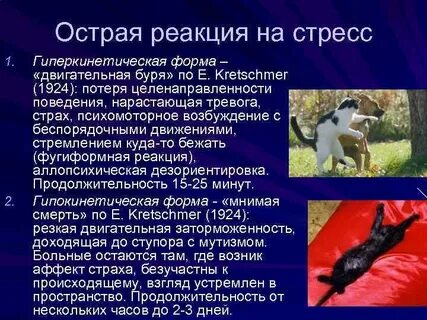 Острая реакция на стресс
