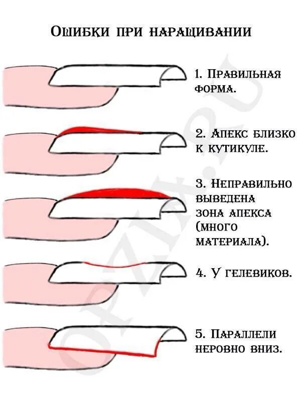 Как подобрать формы для наращивания ногтей. Вид нарощенного ногтя сбоку. схема форма ногтей схемы опила. схема вид сбоку ногтя формы миндаль. опил формы натуральных ногтей схема.