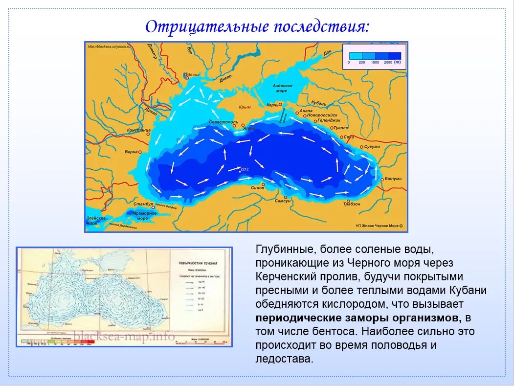 Осадки кубань карта. Старое русло кубани в черное море. русло реки кубань. русло реки кубань на карте. река кубань в черное море.