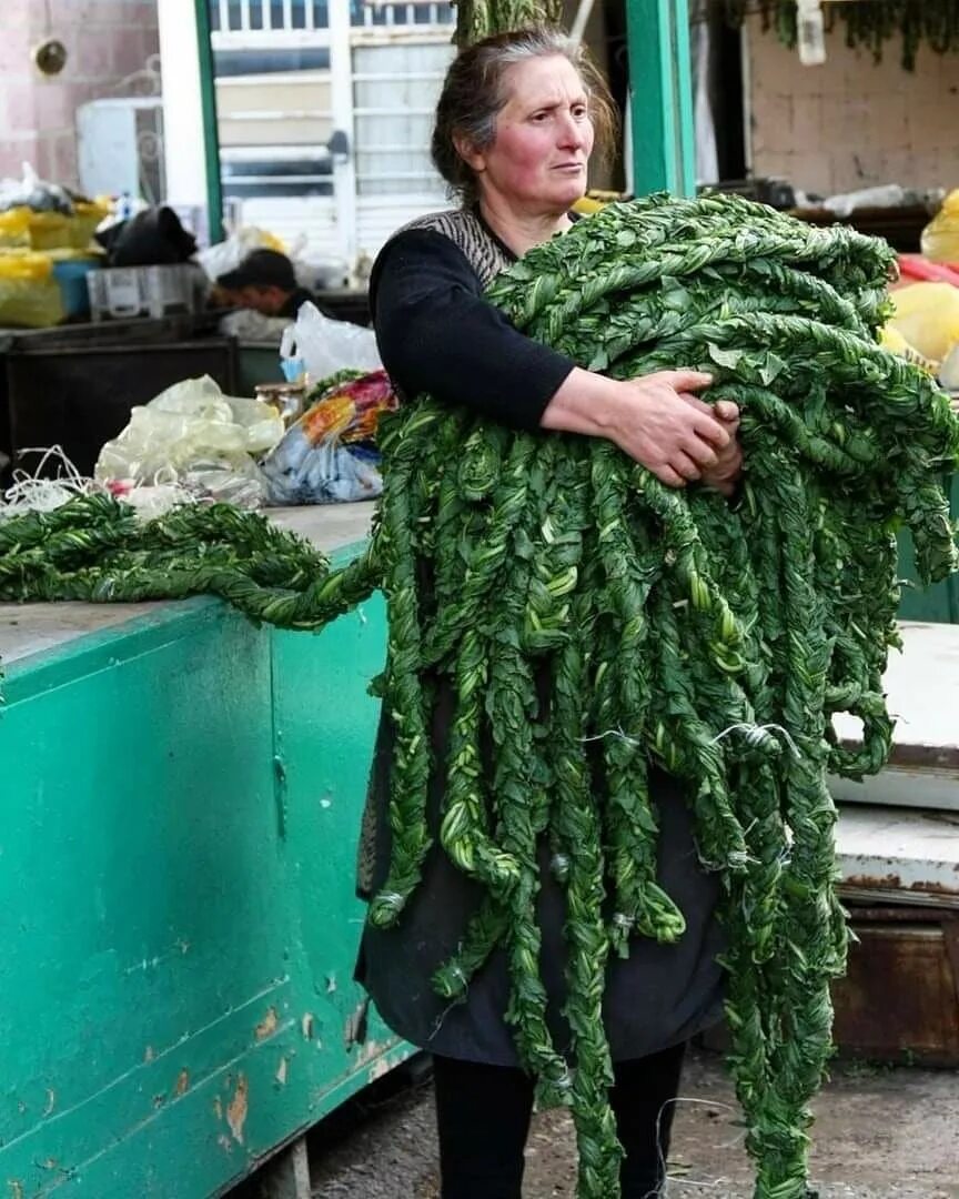 Авелук сушеный. Авелук по русски. Авелук армянское. Авелук трава армения. Авелук сушеный.