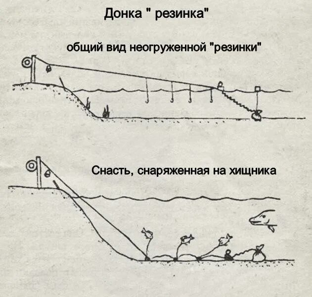 Сколько часов у донка. Донка схема оснастки с поплавком. Схема монтажа донной снасти. Донка с резиновым амортизатором на судака. Донка схема снасти.