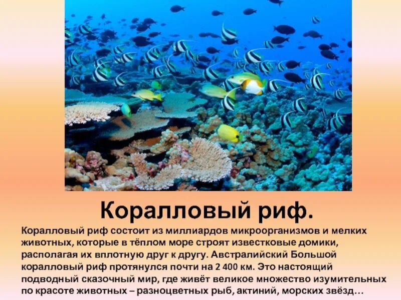Атолл состоит из. Р ф состоит из. Из чего состоит большой барьерный риф. Сообщение на тему сообщество кораллового рифа. Р ф состоит из.