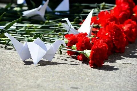 Акция свеча памяти журавли