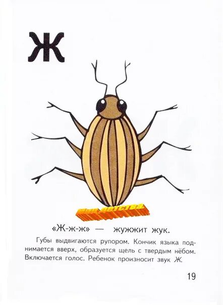 Звуковая схема слова жук. Жук жужжит. Жук жужжит звук. Звук ж Жук. Жук жужжит рисунок