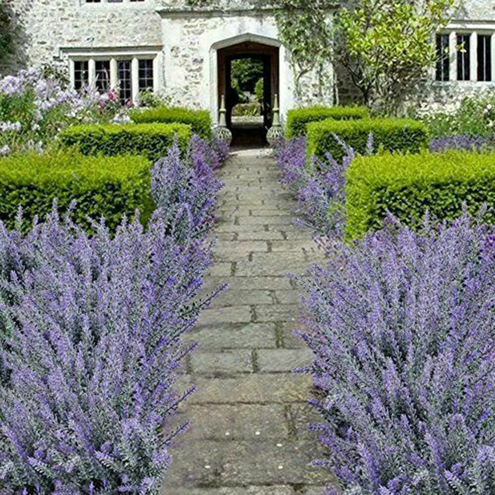 #awbassociates #northyorkshire #gardendesign #walledgarden #colour #tuin #jardin