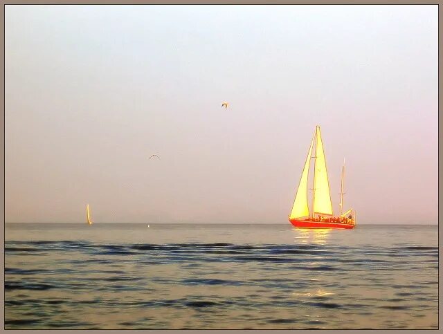 Gold sail