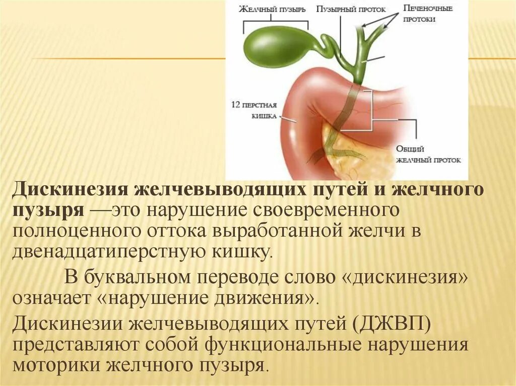 Настойка желчного пузыря. Дискинезия желчного пузыря терапия. Билиарная дискинезия симптомы. Симптомы дискинезии желчного.