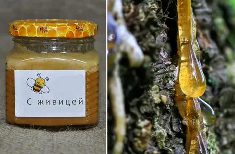 Пчелиная смола