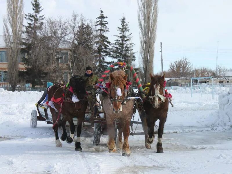 Погода в бартеневке ивантеевского саратовской области. Село Бартеневка. Бартеневка Саратовская область. Масленица в селе Бартеневка лошади. Родное село Бартеневка.