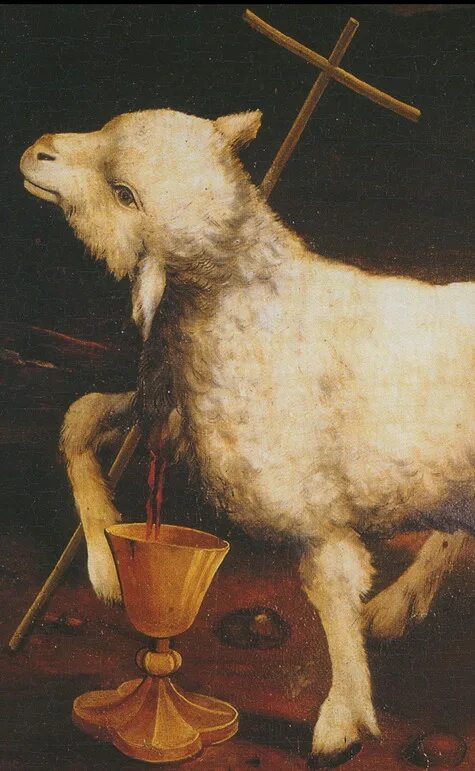 сурбаран агнец божий. агнец божий де сурбаран. агнец божий. жертвенный ягненок. жертвенный агнец.