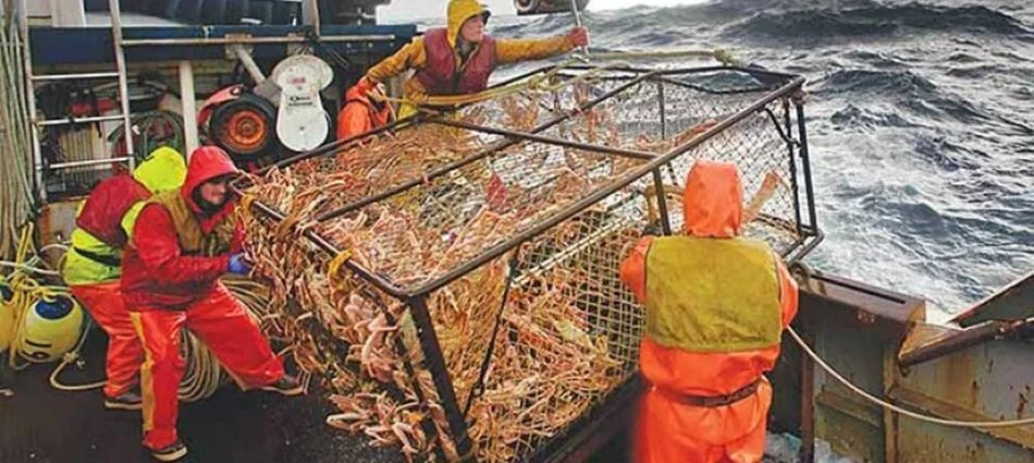 Сколько получают моряки дальнего