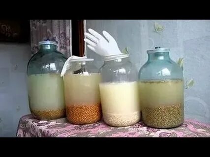 Виноградная брага для самогона рецепт