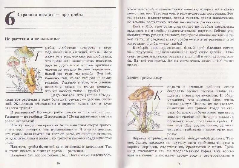 Плешаков грибы. Книга зеленые страницы про грибы. плешаков зеленые страницы 3 класс о грибах. окружающий мир 2 класс зеленая книга грибы. книга зеленые страницы глава о грибах.