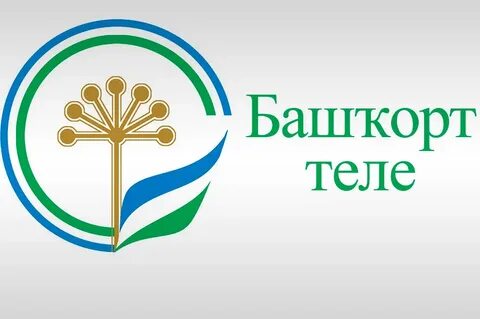 Неделя республики башкортостан
