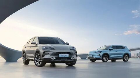 Byd champion edition