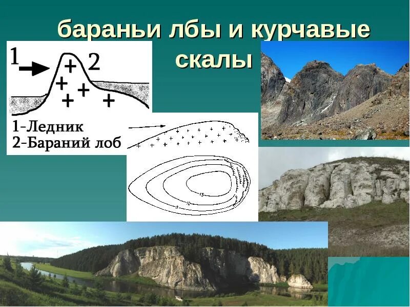 Рельеф бараньих лбов. Рельеф бараньи лбы. Бараньи лбы геоморфология. Бараньи лбы форма рельефа. Бараний лоб в геологии.