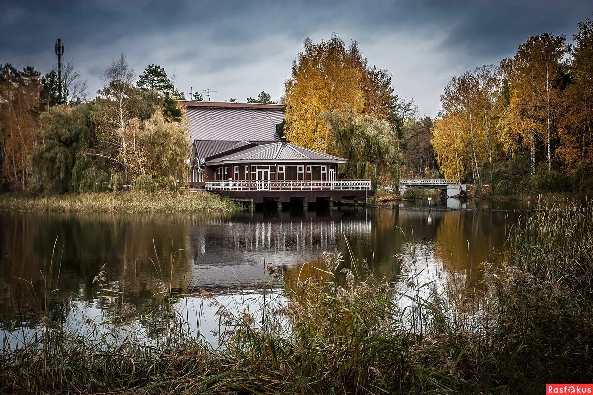 Пригородный тамбов. Парк отель ples тамбов. Парк отель плес. Кафе ковчег тамбов. Пригородный тамбов.
