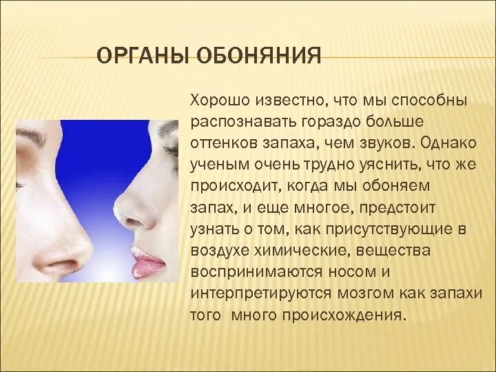 Обоняние. Орган обоняния. Обоняние важность для человека. Органы чувств обоняние.