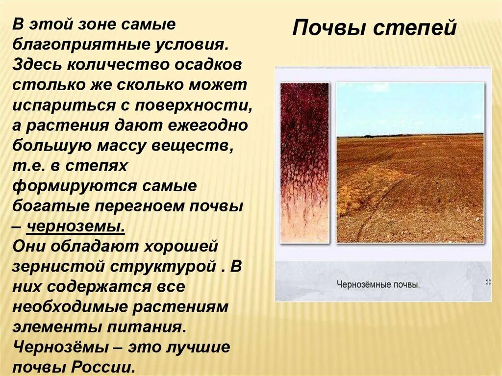 Почвы россии 4 класс 21 век презентация. Черноземы почвы 8 класс. Почвы степи. Тип почвы в степи. Зона степей почва.