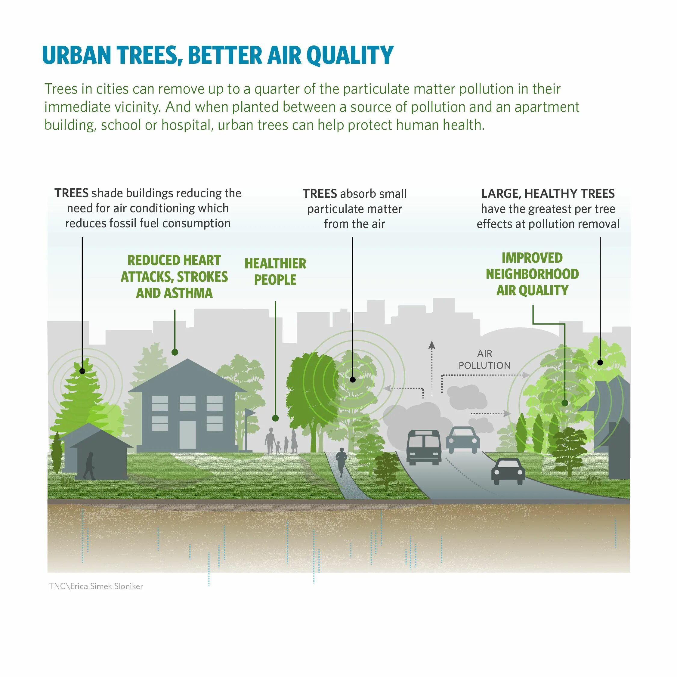 Urban Air pollution. Effects of Air pollution. Air quality pollution. Air pollution Health Effects. Reducing air pollution