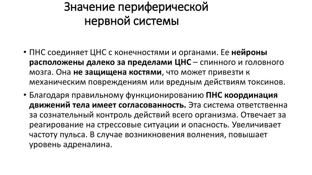 Какие функции выполняет периферическая нервная система. Значение периферической нервной системы. Значениепереферической нервной системы. Значение периферической нервной системы в передаче информации. Периферическая нервная система.