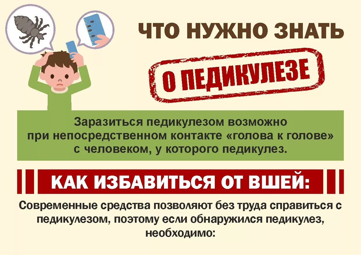 Профилактика и борьба с педикулезом. Профилактика педикулеза у детей памятка. памятка меры профилактики педикулеза. памятка по профилактике педикулеза. педикулез памятка для родителей.