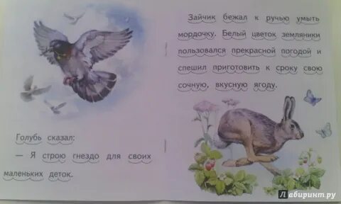 Ушинский в роще