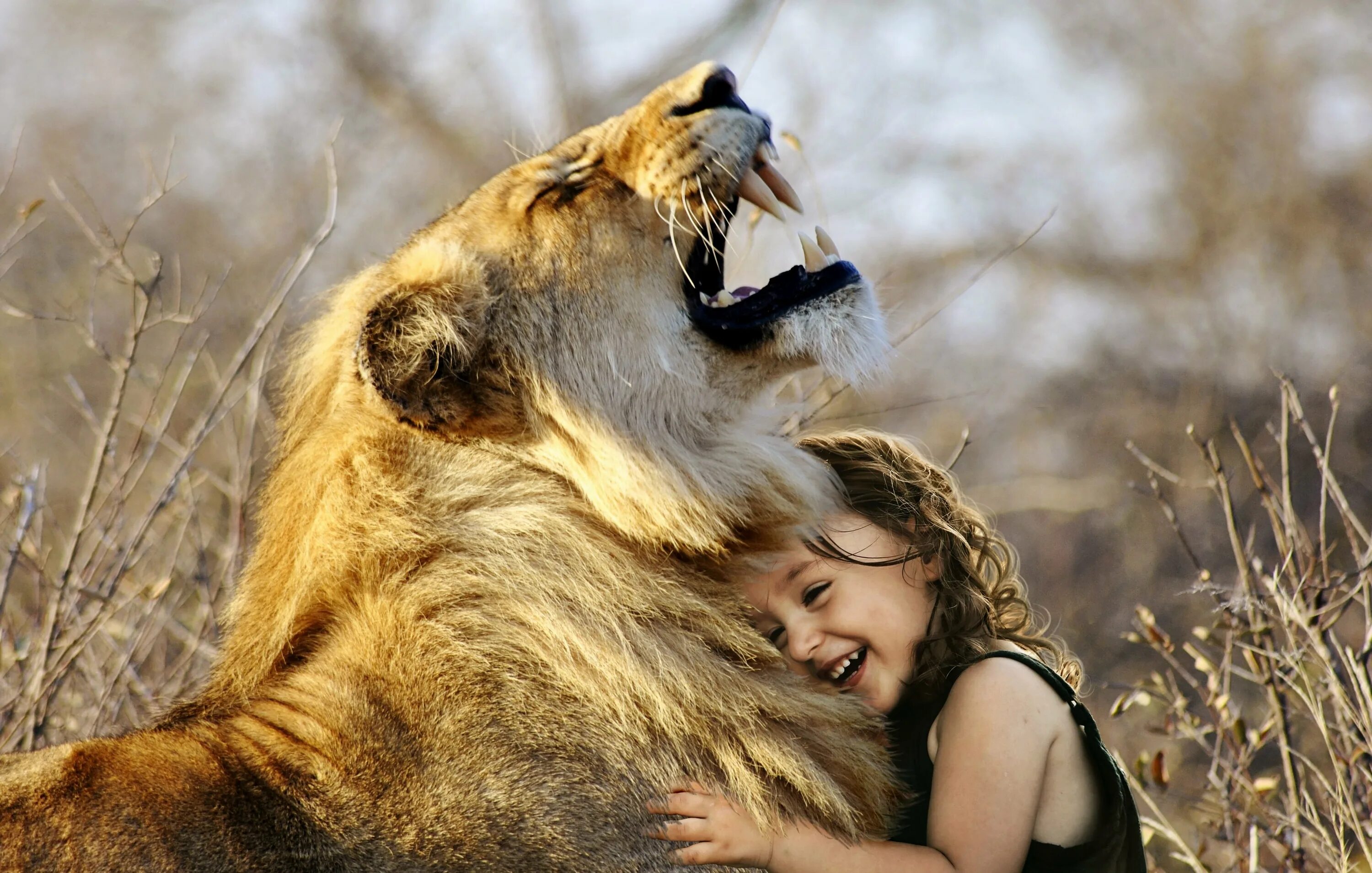 Люди и животные. Лев обнимает человека. Девушка и Лев обнимаются. Девушка в объятиях Льва. Воспитана львом
