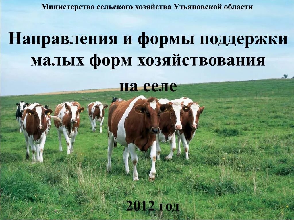 Поддержка малых форм