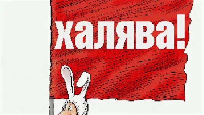 Студенческая халява