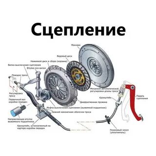 Как работает сцепление в автомобиле