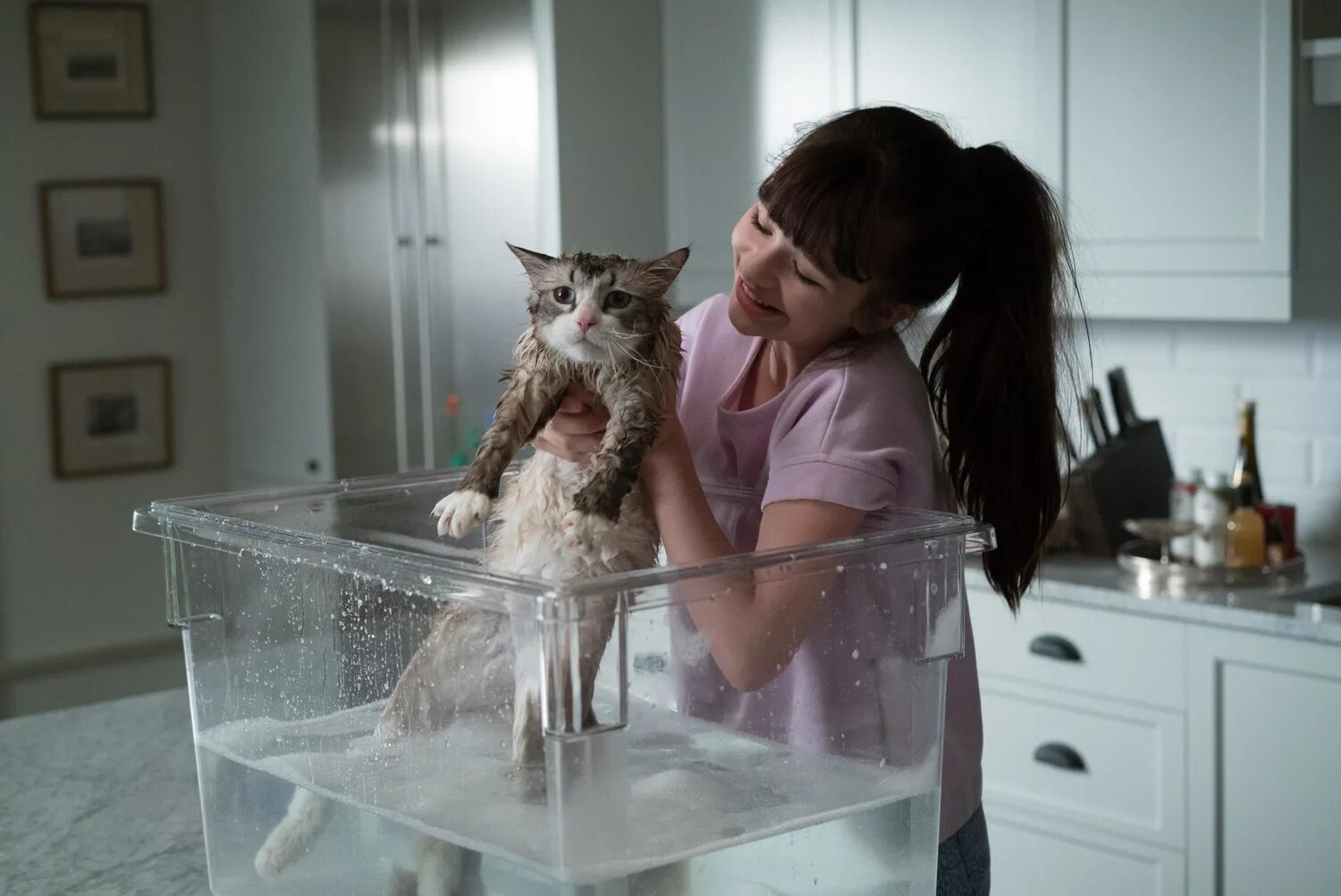 девочка живет с кошками. много кошек в квартире. цубаса ханэкава. девочка живет с кошками. ребенок маугли в подмосковье.