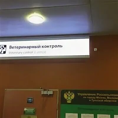 Решение 317 ветеринарный контроль. Решение 317 ветеринарный контроль