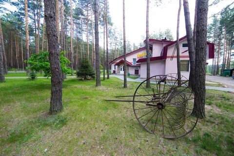 Радон отзывы