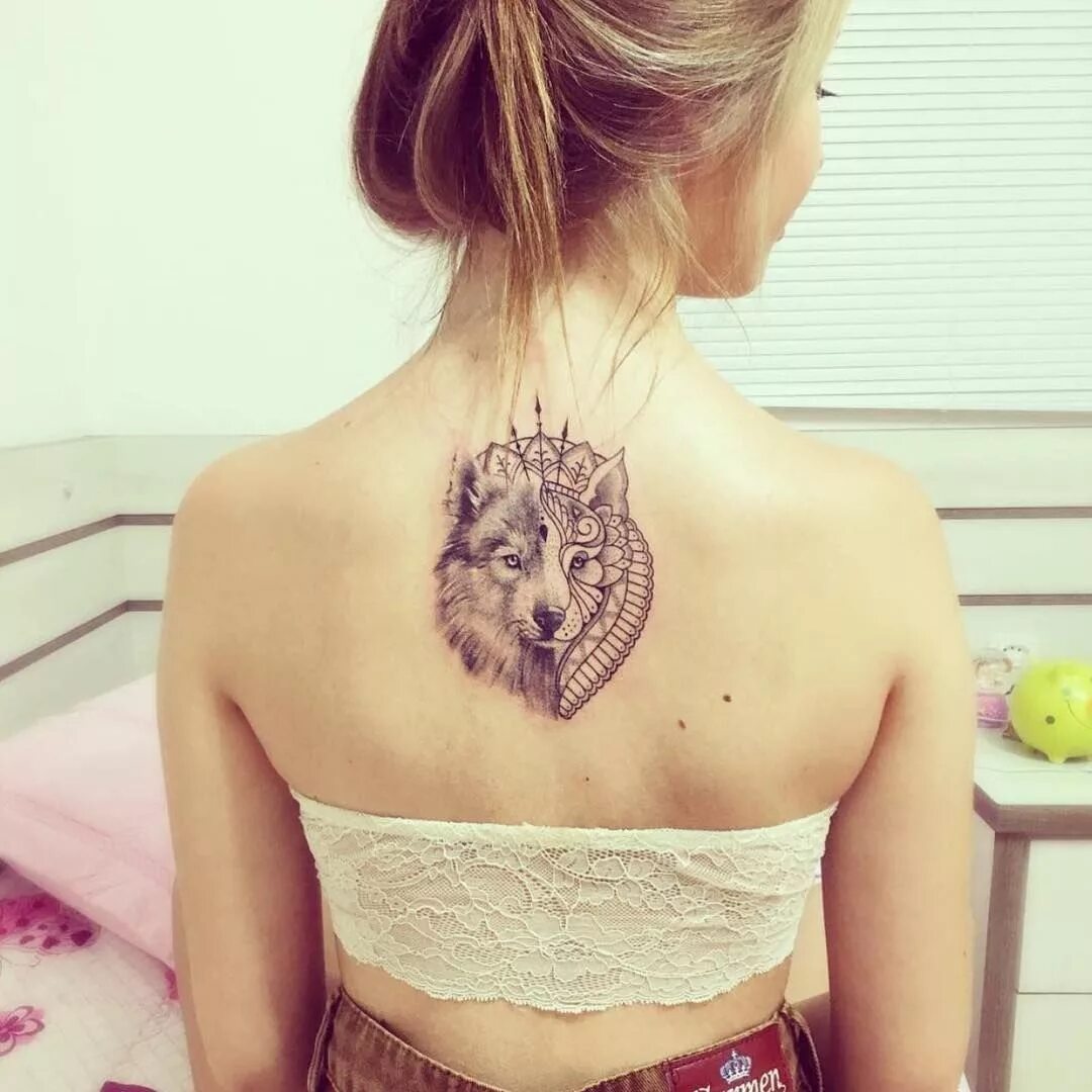 Кот между лопаток