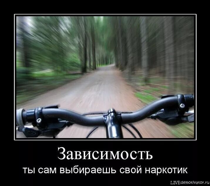 Делай все от тебя зависящее
