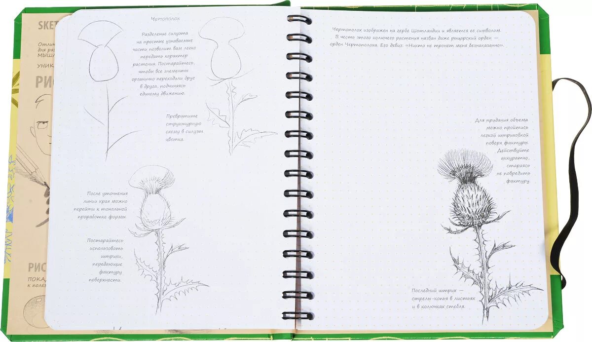 Скетчбук эксмо. Пименова осипов sketchbook рисуем цветы. sketchbook рисуем цветы. скетчбук экспресс-курс по рисованию цветов. скетчбук рисуем цветы экспресс-курс.