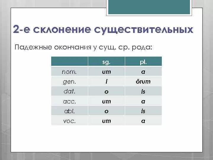 Латинские окончания слов. Существительные 2 склонения латынь. Окончания 2 склонения в латинском. Латынь 1 склонение таблица. Падежные окончания существительных 2 склонения латынь.