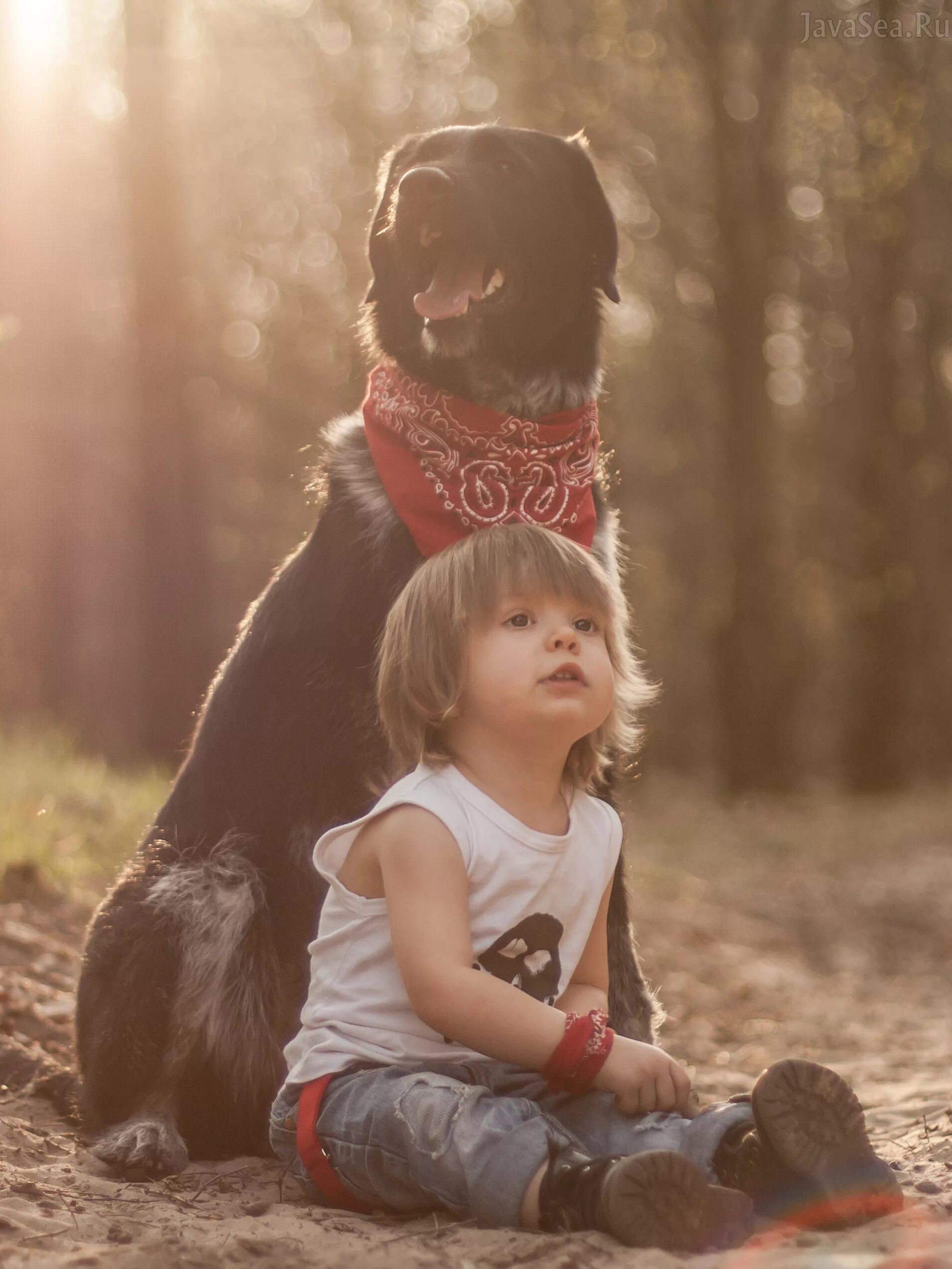 Kindness to animals. Собака для детей. Мальчик с собакой. Щенок мальчик. Девочка и большая собака.