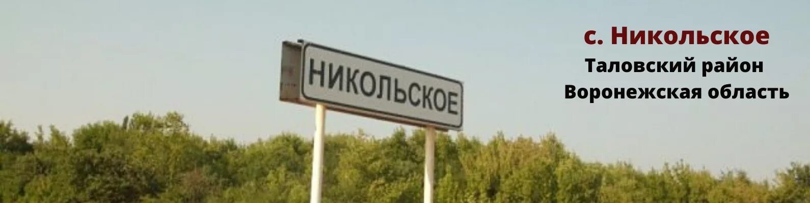 Синявка таловский район. Никольское таловский район воронежская область. Никольское таловский район воронежская область. Вязовка воронежская область таловский район 2021. Погода в никольском таловского.